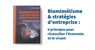 Biomimétisme & Stratégies d’entreprise : 9 principes pour réconcilier l’économie et le vivant