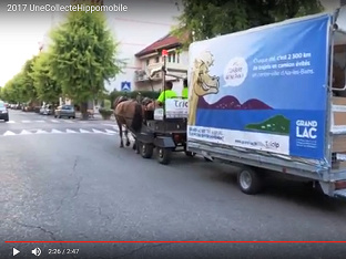 Le cheval, un compagnon d’avenir pour la collecte des déchets en ville ?